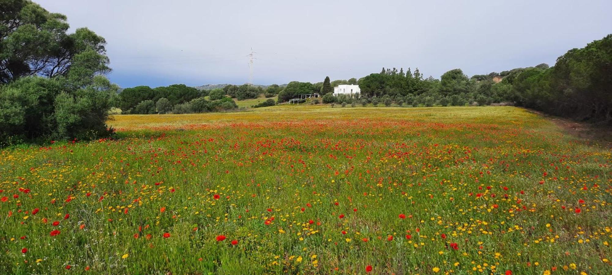 Agreen Country House Olbia Eksteriør bilde