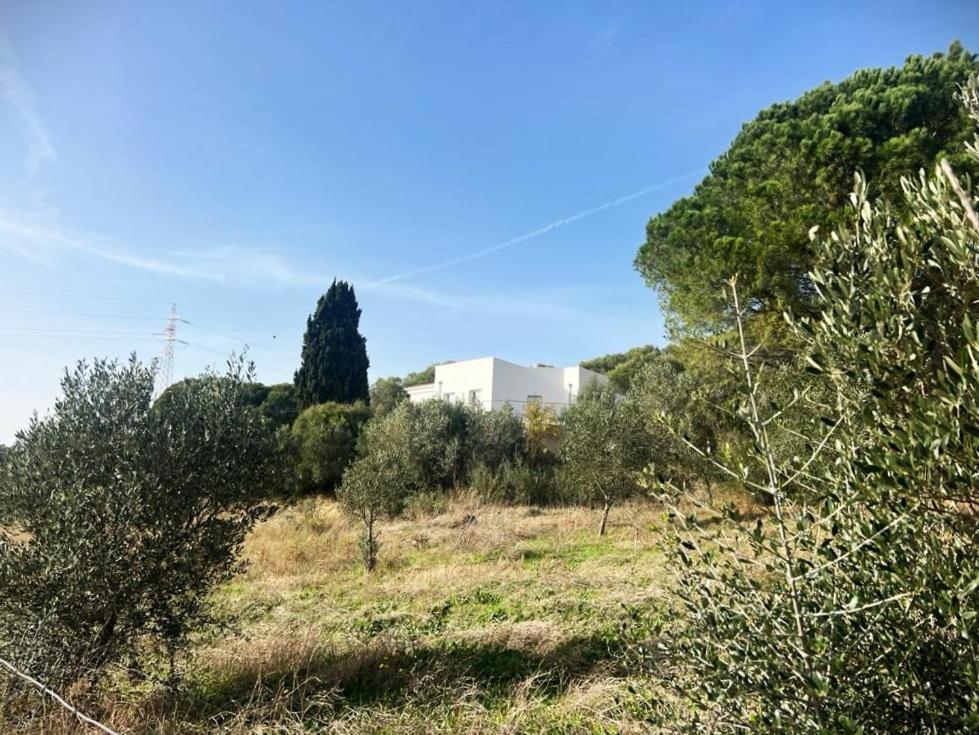 Agreen Country House Olbia Eksteriør bilde